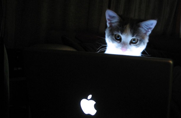 cat-mac